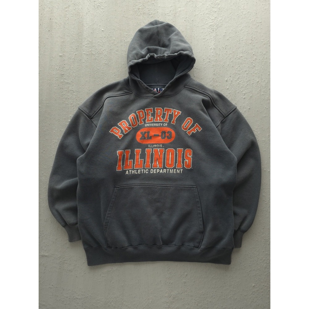 Vintage University Of Illinois Athletic‎ Department Grey Hoodie Sweatshirt L Y2K